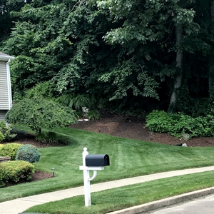 lawn care 9