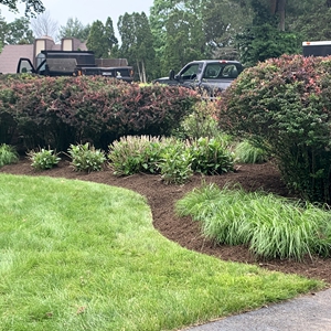 landscaping 4